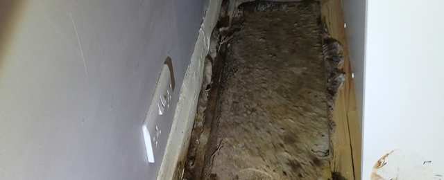 Dry Rot Treatments in a Ruislip Home