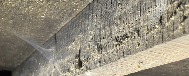 Dust and Debris