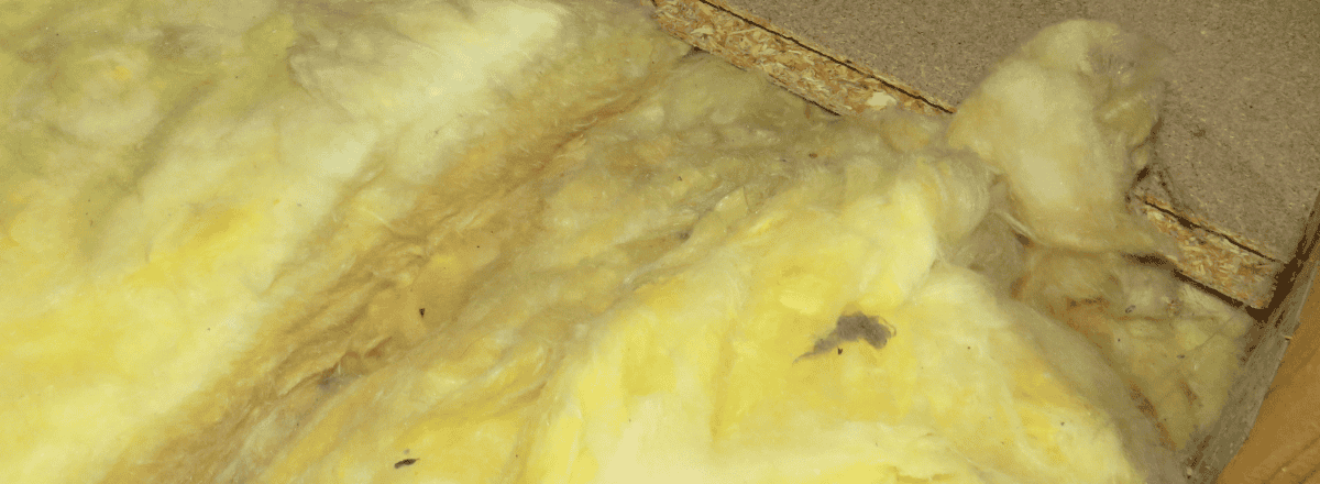 Installing insulation in the loft
