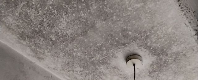 mould on ceiling