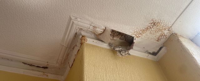 Removing source of moisture from property