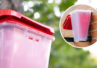 Rentokil Outdoor EcoCatch fly trap dual image closeup