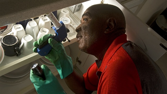 Rentokil technician in kitchen applying cockroach treatment
