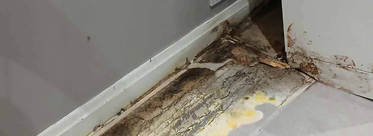 Rising damp in house