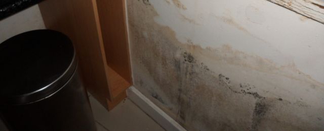 example of condensation - rotten timbers