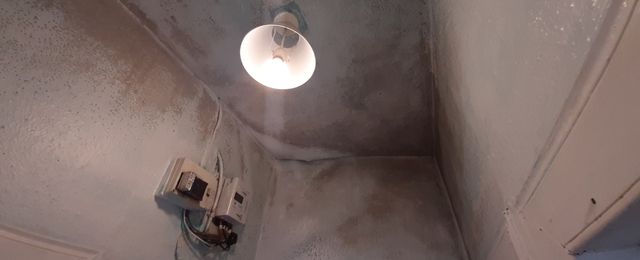 black mould severe case in a household