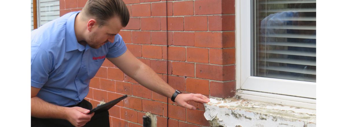 Rentokil Damp and Timber Report