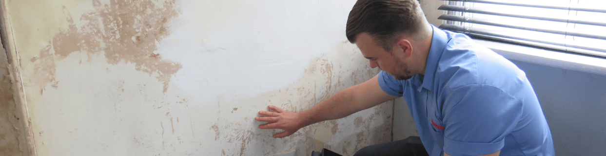 damp-problems-lp-banner