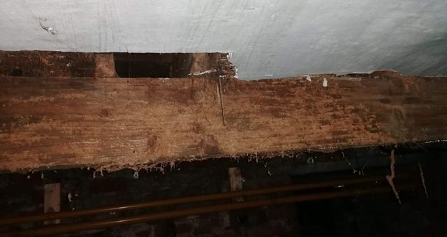 Some infestations, such as the Woodboring Weevil thrive on damp timber, and do not require woodworm sprays. Once the source of dampness is removed, the infestation will die out.