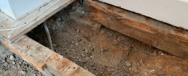 Wet Rot