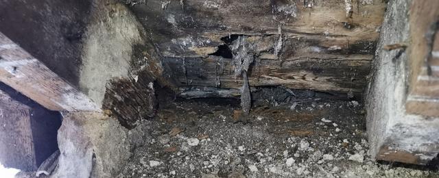 Image showing wet rot under a basement , wood is decaying