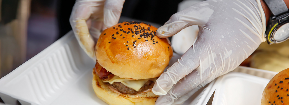 Food Safety Audit Guidelines Solutions Steritech