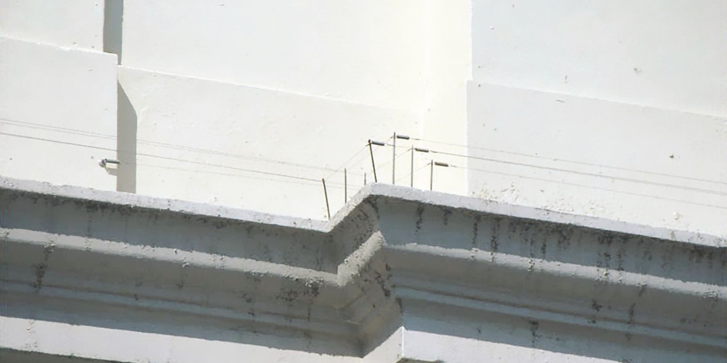 Professional bird wire deterrent system installed on a white building ledge to prevent birds from nesting and landing.